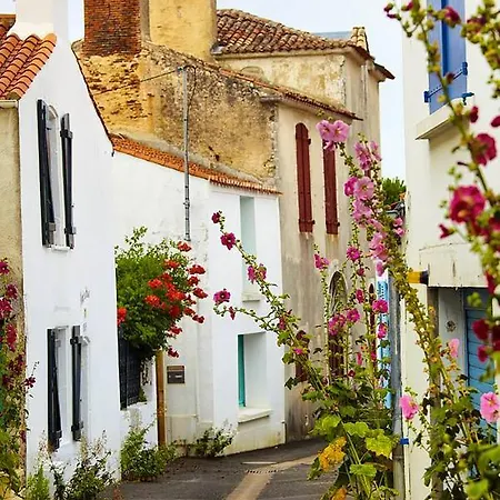 Apartment Les Pieds Dans L'eau A